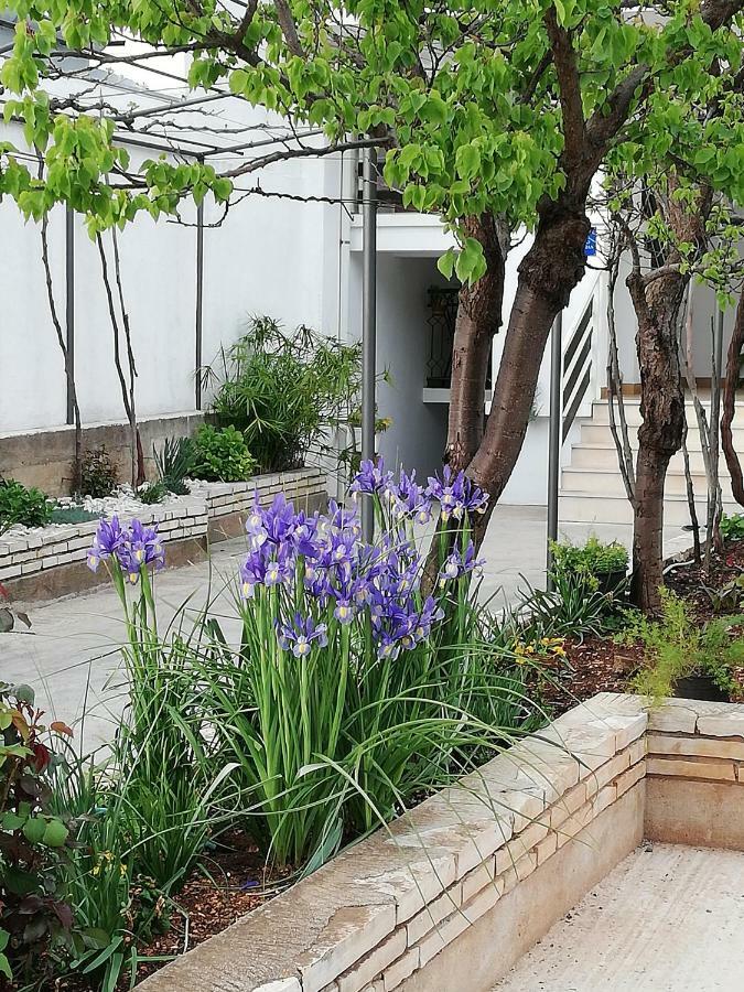 Apartman 2 Zadar Dış mekan fotoğraf
